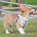 Wholesale Fashion Dog Harness And Leash